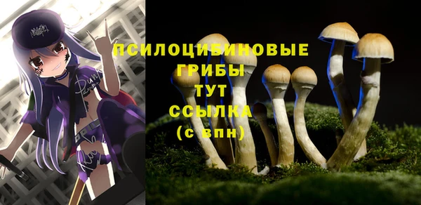 соль курить ск Балахна