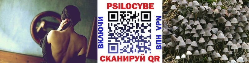 как найти наркотики  Черняховск  Псилоцибиновые грибы мухоморы 