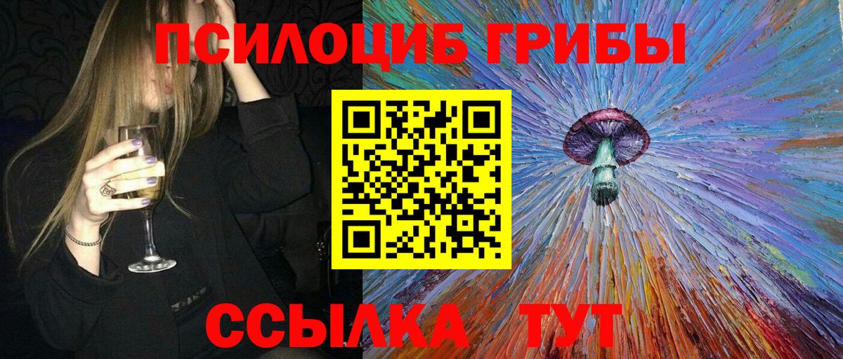 Черняховск  Псилоцибиновые грибы Psilocybine cubensis  Вход с VPN  Псилоцибиновые грибы мухоморы 